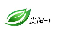 贵阳新闻综合频道